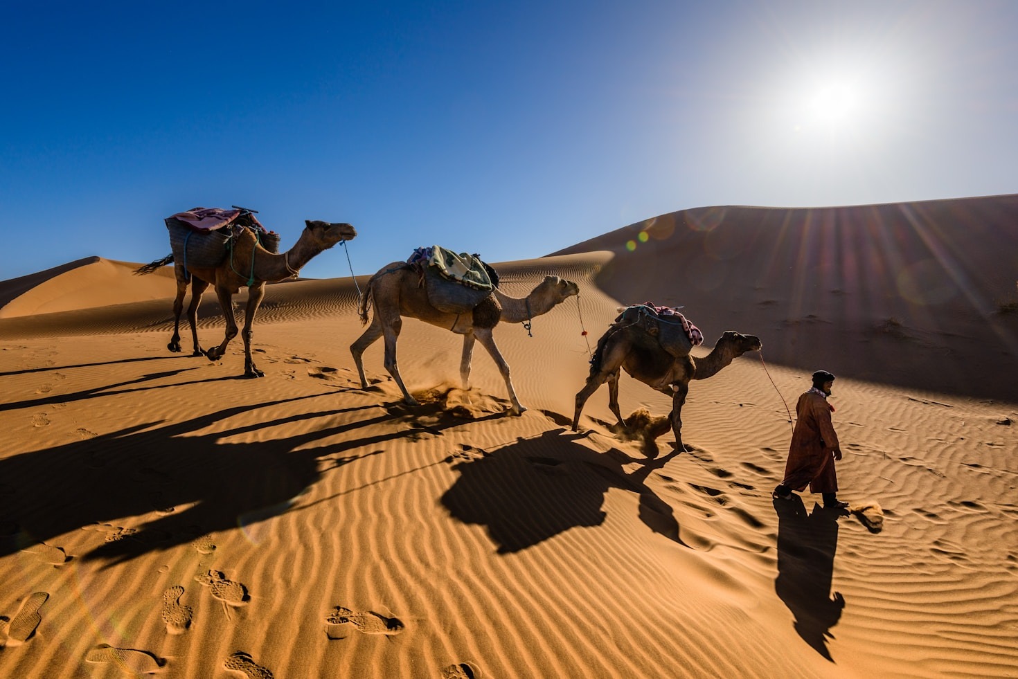 How to Travel Morocco Like a VIP